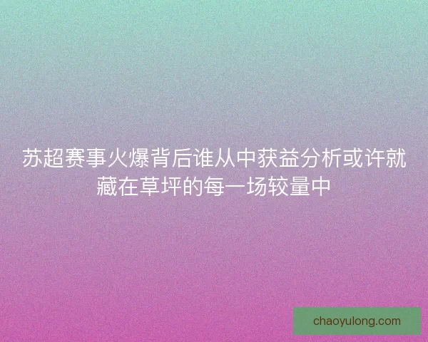 苏超赛事火爆背后谁从中获益分析或许就藏在草坪的每一场较量中